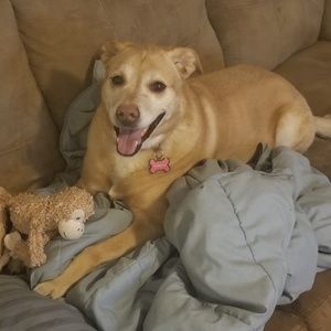 Meet your Posher, Jason